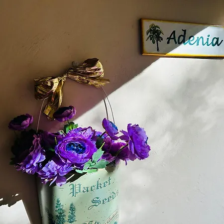 Assisi, Angolo Di Matilde 아파트