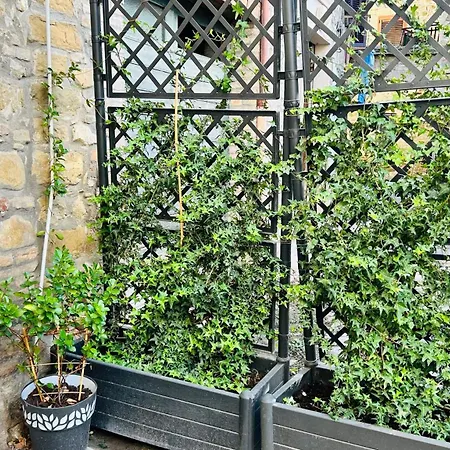 Apartamento Assisi, Angolo Di Matilde *